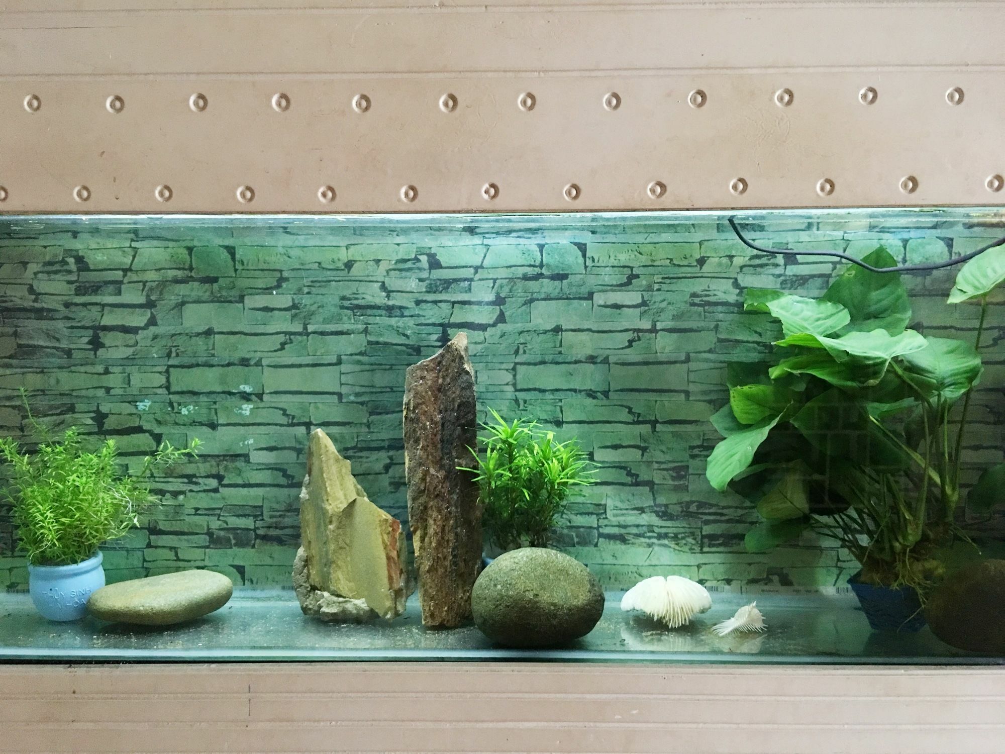Ha My Guesthouse ダナン市 エクステリア 写真
